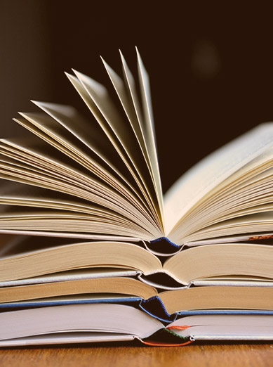 RBR Publications Overview